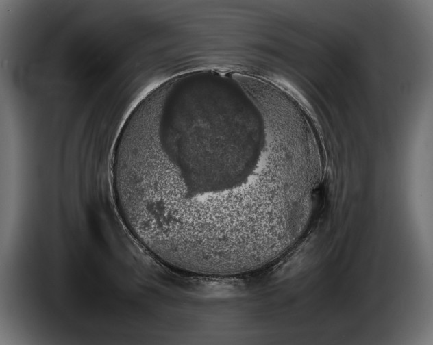 X0000085830899200703231417