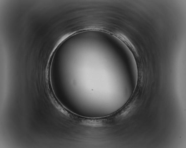 X0000085830900200703231417