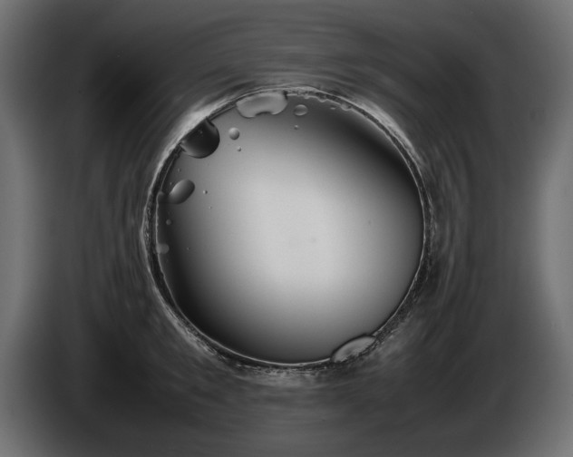 X0000085830901200703231417