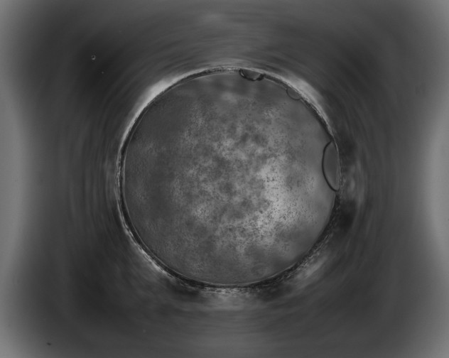 X0000085830903200703231417