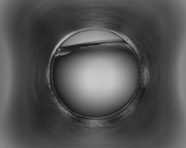 X0000085830904200703231417