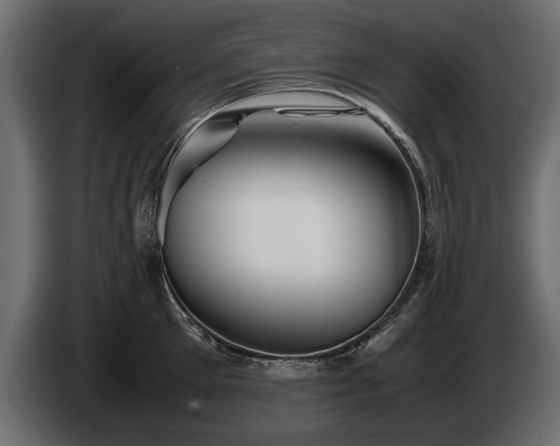 X0000085830905200703231417