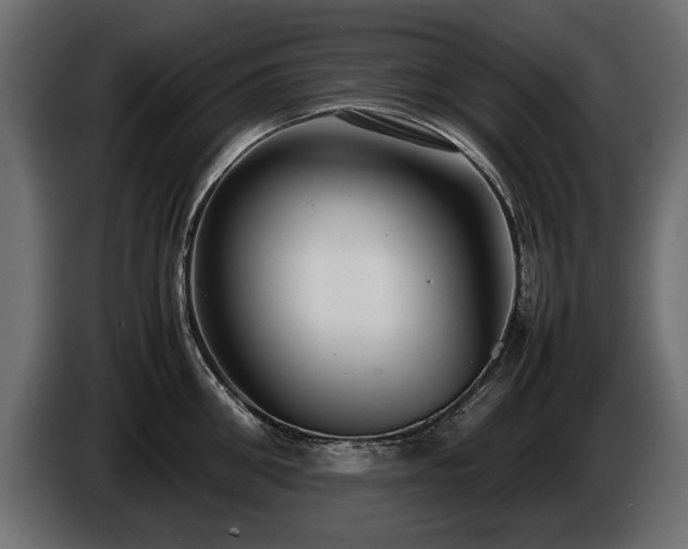 X0000085830906200703231417