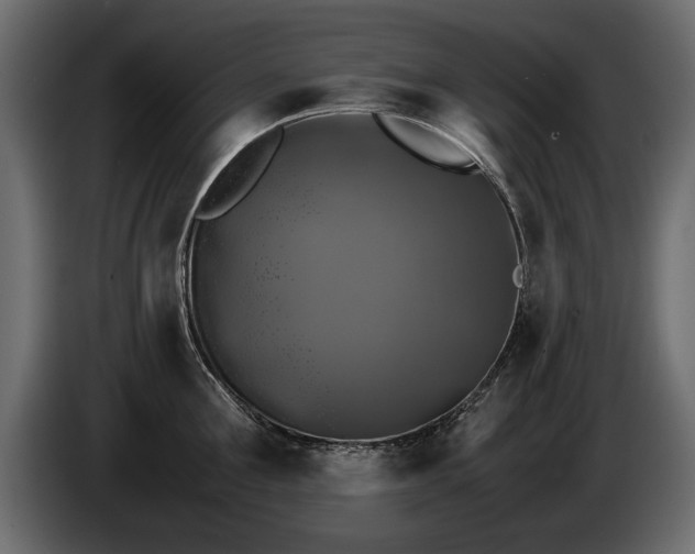 X0000085830907200703231417