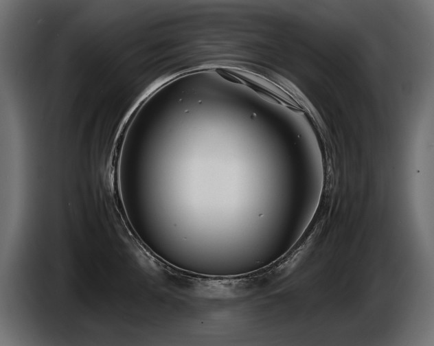 X0000085830908200703231417