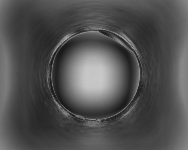 X0000085830909200703231417