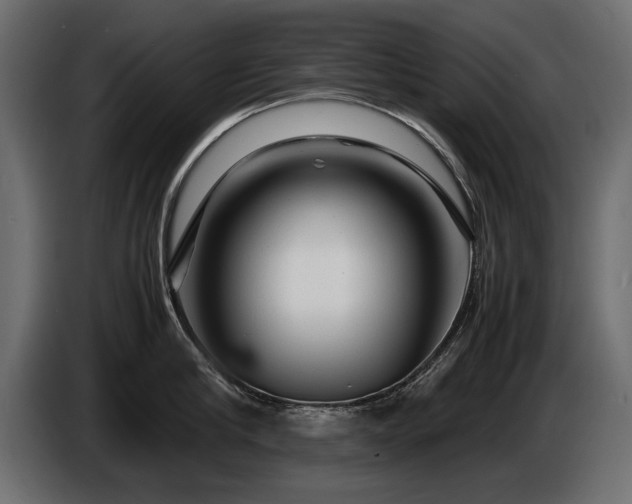 X0000085830910200703231417