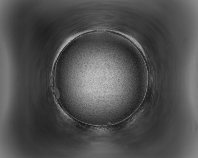 X0000085830911200703231417