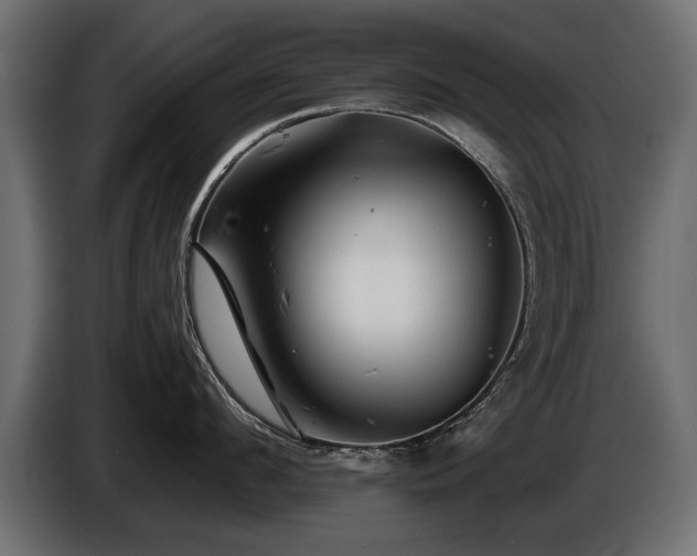 X0000085830912200703231417