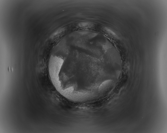 X0000085830917200703231417