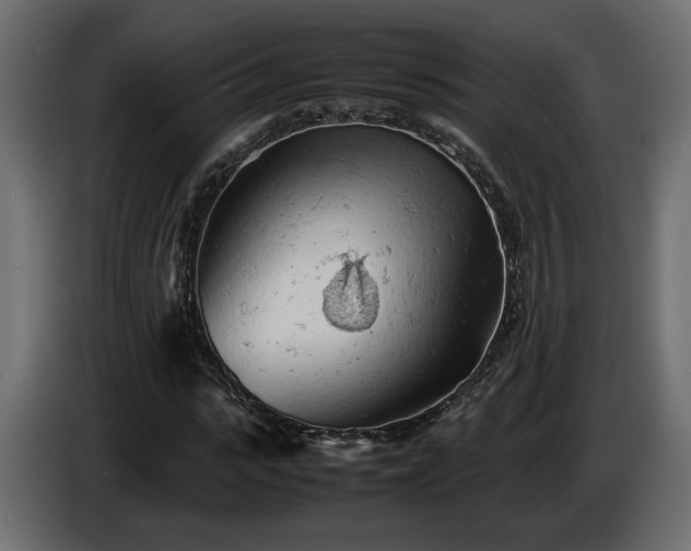 X0000085830919200703231417