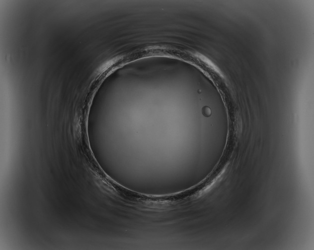 X0000085830921200703231417