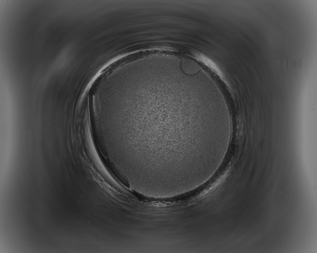 X0000085830923200703231417