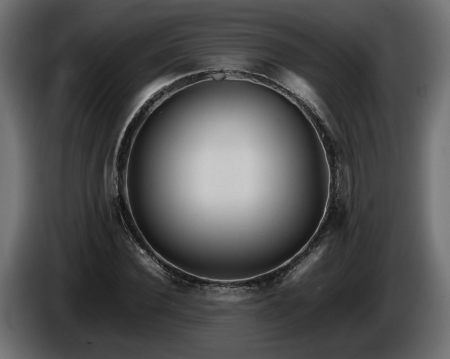 X0000085830924200703231417