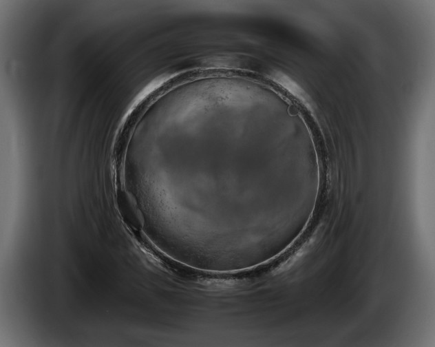 X0000085830925200703231417