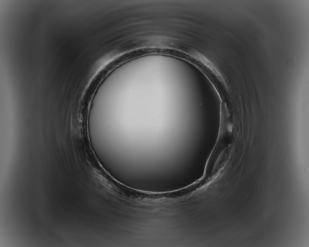 X0000085830926200703231417