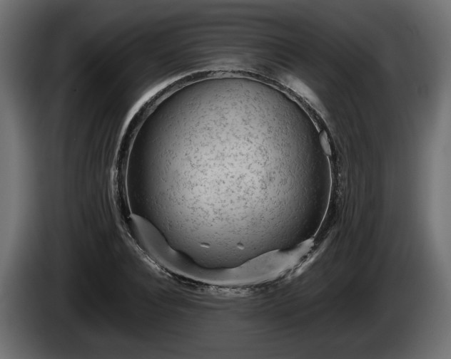 X0000085830928200703231417