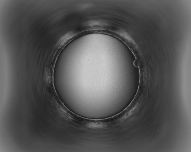 X0000085830929200703231417