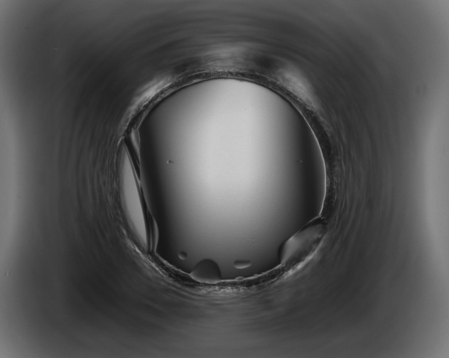 X0000085830930200703231417