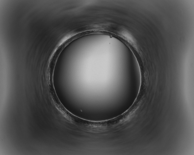 X0000085830931200703231417