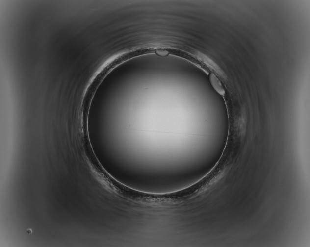 X0000085830934200703231417