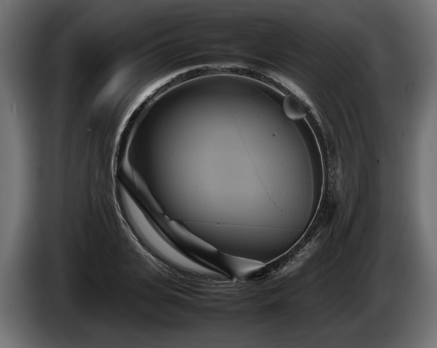 X0000085830935200703231417