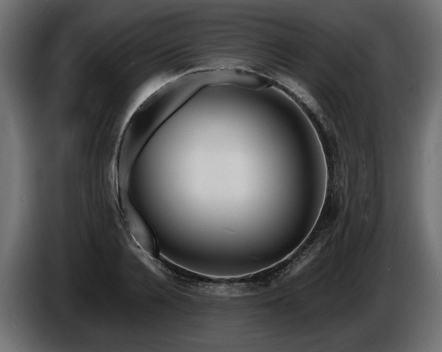 X0000085830936200703231417