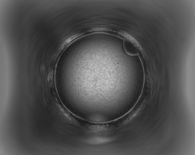 X0000085830937200703231417