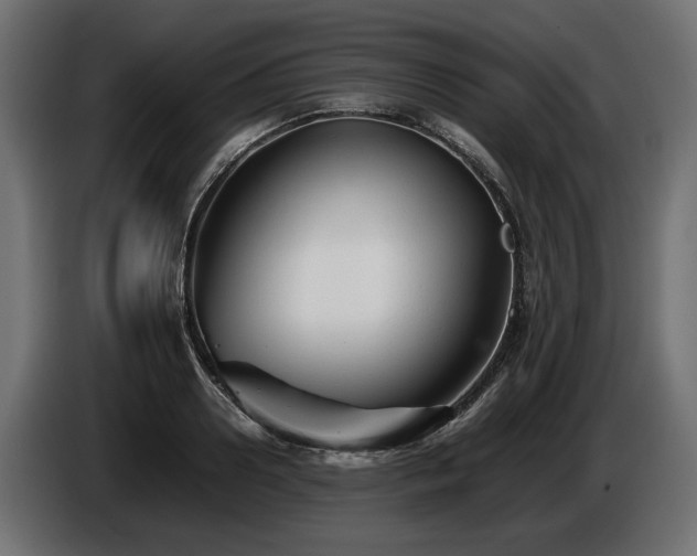 X0000085830938200703231417