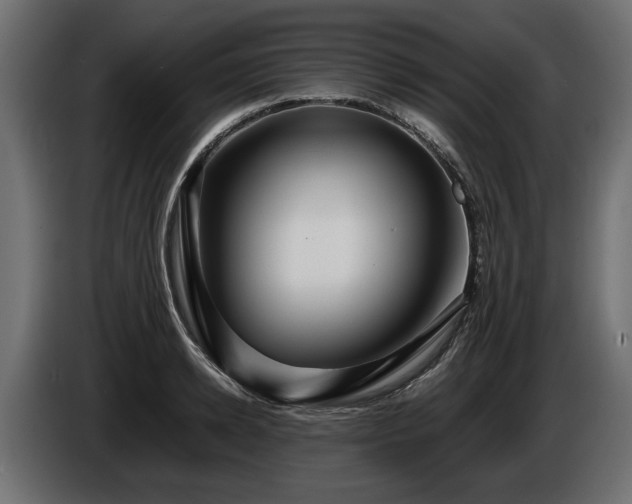 X0000085830942200703231417