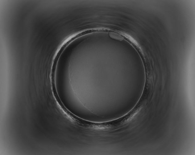 X0000085830943200703231417