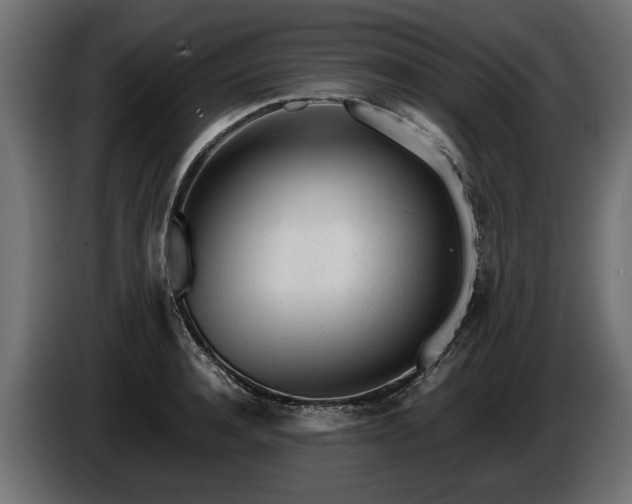 X0000085830944200703231417