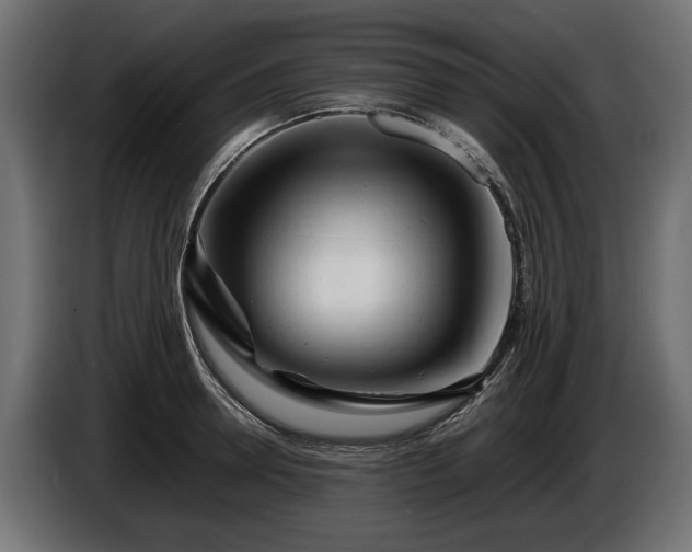 X0000085830946200703231417