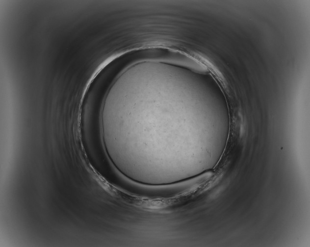 X0000085830948200703231417