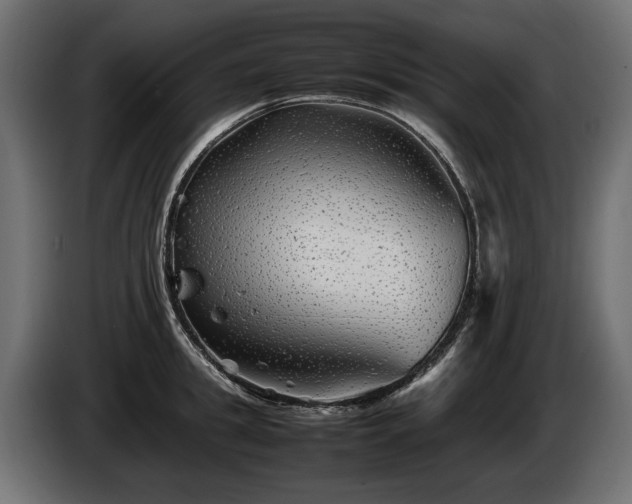 X0000085830949200703231417