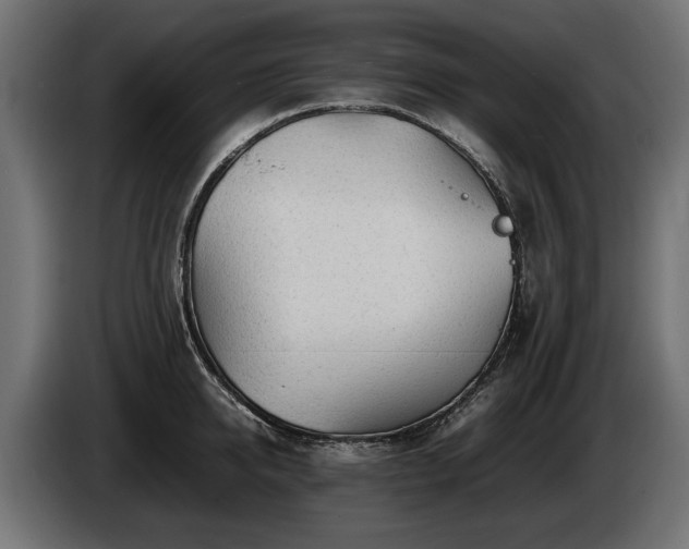 X0000085830950200703231417