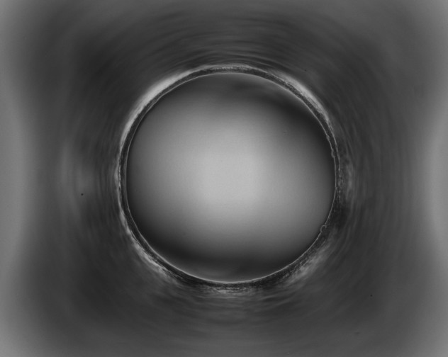 X0000085830951200703231417