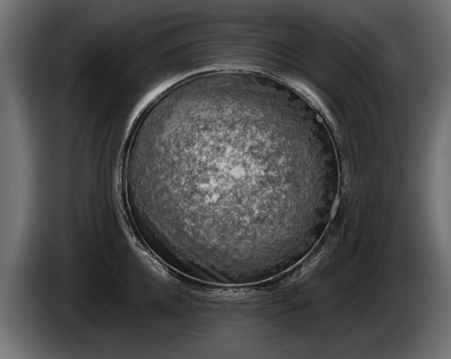 X0000085830952200703231417