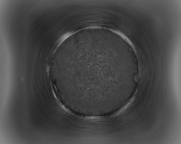 X0000085830953200703231417