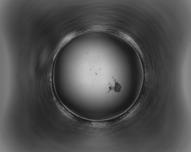 X0000085830954200703231417