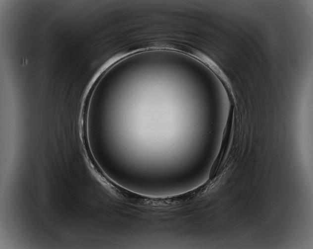 X0000085830955200703231417