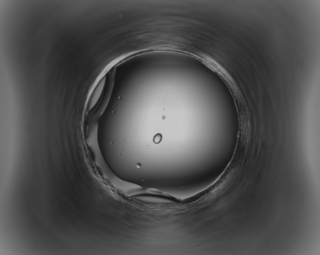 X0000085830956200703231417