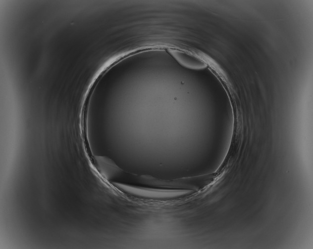 X0000085830958200703231417