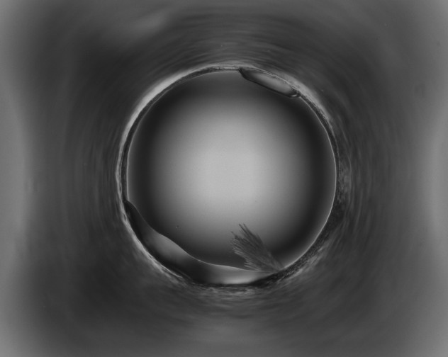 X0000085830959200703231417