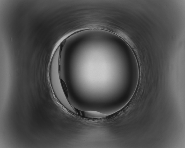 X0000085830960200703231417