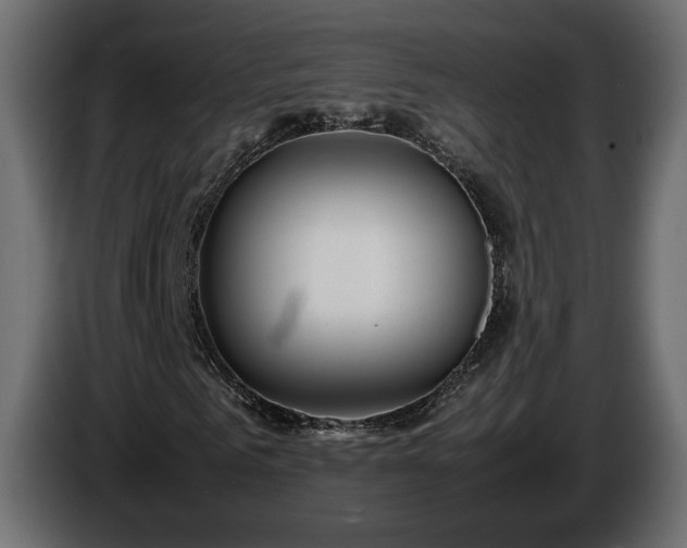 X0000085830961200703231417