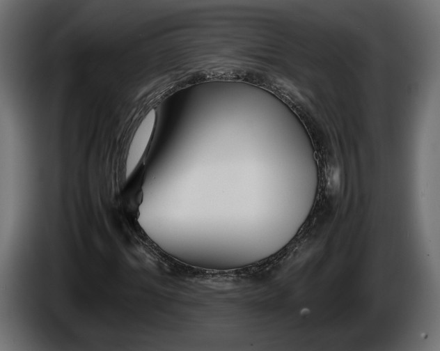 X0000085830964200703231416