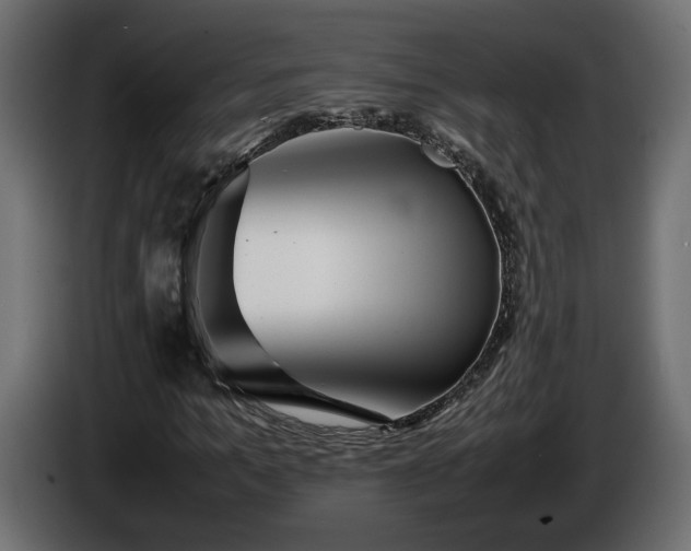 X0000085830965200703231416