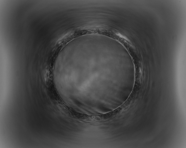 X0000085830966200703231416