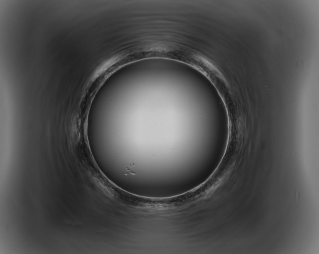 X0000085830970200703231416